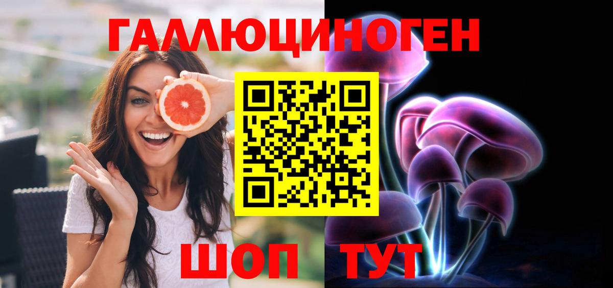 Галлюциногенные грибы Cubensis Кубинка